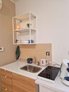 a kitchen with a sink and a microwave at Studio apartman Picok Đurđevac in Ðurđevac