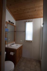 ein Badezimmer mit Waschbecken und Toilette und einem Fenster in der Unterkunft Medina Lake Camping Resort Studio Cabin 2 in Lakehills
