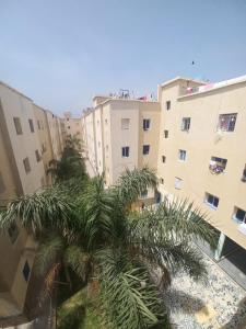 una palmera frente a unos edificios en Ouadlaw, en Oued Laou