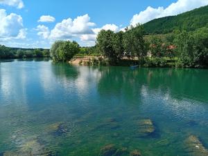 a view of a river with trees in the background at Apartman Ema in Bihać