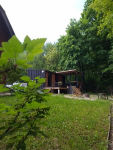 a house in the middle of a yard with trees at evkalipt in Ivano-Frankivsk