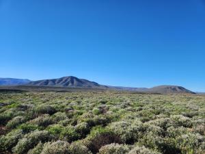 a view of the desert with mountains in the background at From Valle Hideaway in Tankwa in Sutherland