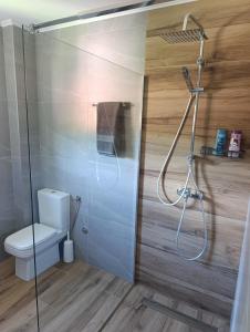 a bathroom with a shower and a toilet at Zen Zone Trio in Foča