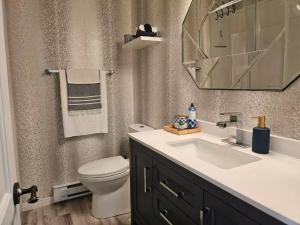 a bathroom with a sink and a toilet and a mirror at Chalet Cozy Spa sur Lac in Saint-André-Avellin +22 photos