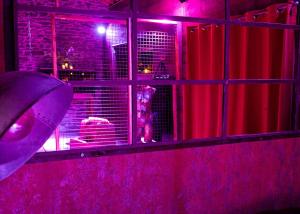 a dog in a cage looking out of a window at Atelier 69 Loveroom in Paliseul