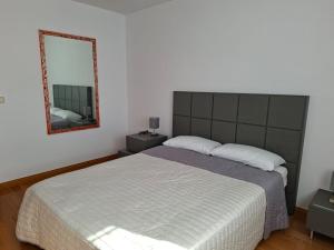 a bedroom with a large bed and a mirror at San Isidro in Villarcayo +37 photos