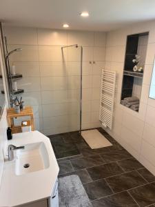 a bathroom with a sink and a shower at MyAlpenloft 2 in Deutschgriffen +25 photos