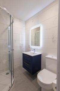 ein Badezimmer mit Toilette, Waschbecken und Dusche in der Unterkunft Tigh Mary Donals Bar & Rooms at Whitegates in Killarney