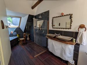 a bathroom with a sink and a mirror at Chambres d'hôtes Les Chatougoulis in Les Bordes-sur-Lez