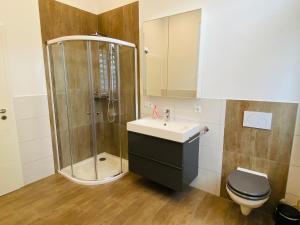 a bathroom with a shower and a sink and a toilet at Kreide & Kissen in Lünebach +4 photos