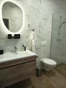 a bathroom with a sink and a toilet and a mirror at Sutla House in Senkovec +6 photos