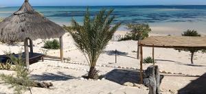 Peisaj natural din apropierea acestei case de vacanță