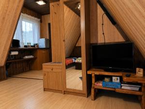 a living room with a tv in a attic at Noclegi u Marka in Czernichów