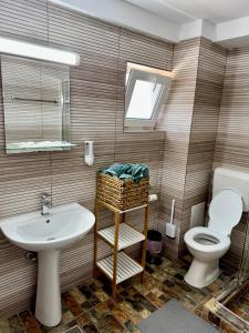 a bathroom with a sink and a toilet at Vila Alga in Sulina +124 photos