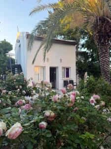 ein weißes Haus mit einer Palme und Rosen in der Unterkunft Marsin Hotel & Bungalows in Kyrenia