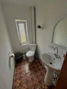 a bathroom with a toilet and a sink and a mirror at Карпатський затишок in Verkhovyna