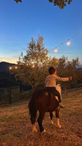 a person riding a horse in a field at Kështjella Myftari in Patos +78 photos