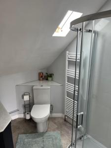 a white bathroom with a toilet and a shower at Quiet Annexe in Oundle in Oundle
