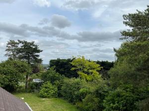 a view of a garden with trees and a car at Quiet Annexe in Oundle in Oundle