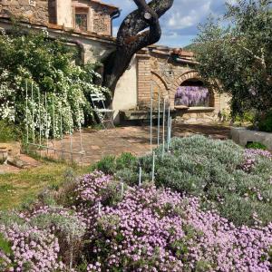 a garden with purple flowers in front of a building at Agriturismo Timignano in Monteguidi