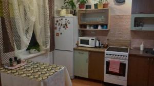 a small kitchen with a refrigerator and a microwave at Карпатський затишок in Verkhovyna +6 photos