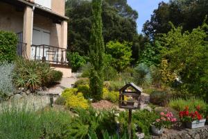 a garden in front of a house with a bird feeder at Appartement T2 in Montauroux +5 photos