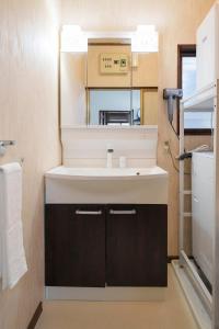 a bathroom with a sink and a mirror at Tiger House Kusabana in Akiruno +75 photos