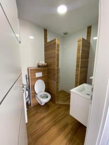 a bathroom with a toilet and a shower and a sink at Apartman Žepče in Žepče
