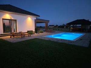 a backyard with a swimming pool at night at Blackberry Guesthouse in Jastrebarsko