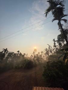 a view from a train window of a palm tree at Kaarmugilu Homestay in Kalasa