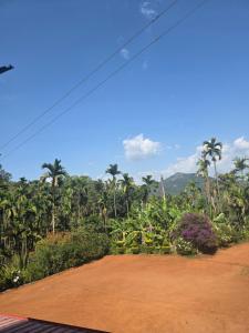 a dirt road with palm trees in the background at Kaarmugilu Homestay in Kalasa