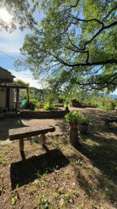 a bench sitting under a tree in a park at Le Cabanon in Mane