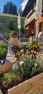 a garden with flowers in a wooden box at Hotel Almhof in San Candido