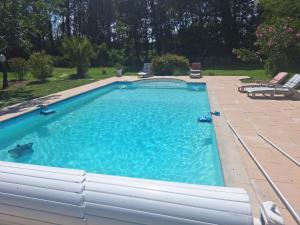 a swimming pool with two ducks in the water at Calme et quiétude in Saint-Vivien-de-Blaye