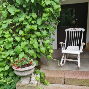 a chair sitting on a porch next to a ivy covered wall at Artist eremitage Leonora - Historic schoolhouse apartment in Fjälkinge