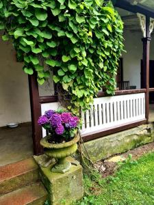 a planter with purple flowers on the steps of a porch at Artist eremitage Leonora - Historic schoolhouse apartment in Fjälkinge