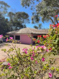 a house with pink flowers in front of it at Chalés Casa Rosa in Alto Paraíso de Goiás