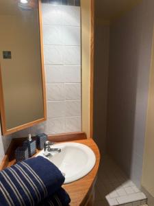 a bathroom with a sink and a mirror at Les bon bois in Germignac