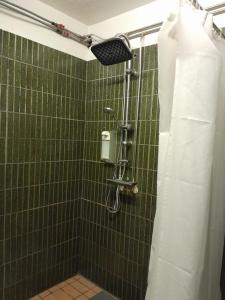 a green tiled shower with a shower curtain in a bathroom at Guesthouse in Ólafsvík +40 photos