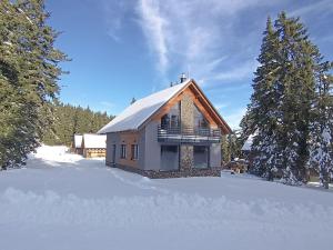 a small house with a snow covered roof in the snow at Chalet Martinky in Martin
