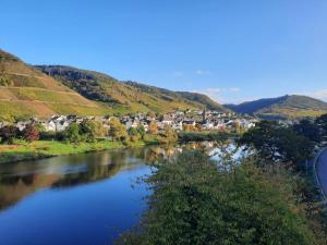 a river with a town in the middle of a valley at Wunderschönes Winzerhaus Schenk in Neef