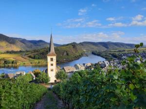 a church in the middle of a town with a river at Wunderschönes Winzerhaus Schenk in Neef