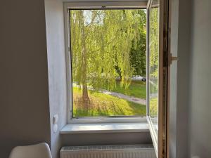a window with a view of a tree at Apartmán u Hradu 2 in Cheb