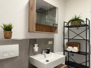 a bathroom with a sink and a mirror at APARTMENT in Hambach in Hambach +21 photos