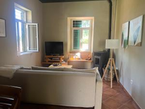 a living room with a couch and a fireplace at Manor Meeder in Castanheira de Pêra