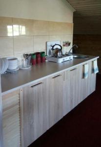 a kitchen with a sink and a counter top at Апартаменти Аліканте in Zatoka