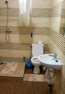 a bathroom with a toilet and a sink at Апартаменти Аліканте in Zatoka