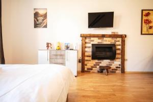 a bedroom with a fireplace with a television and a bed at Edelweiss Studio - Aspen Valley in Razlog