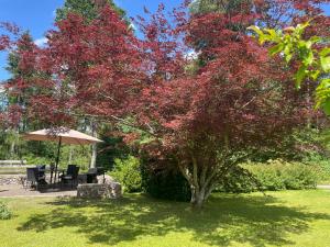 a tree with red leaves next to a table and an umbrella at Allgäu Bungalow GLOW in Isny im Allgäu