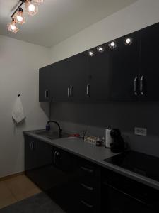 a kitchen with black cabinets and a sink at Premium Apartment in Peje +16 photos